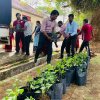 Home Gardening at Vavuniya District Secretariat-25.08.2022